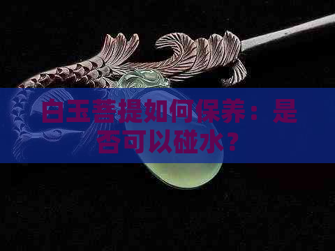 白玉菩提如何保养：是否可以碰水？