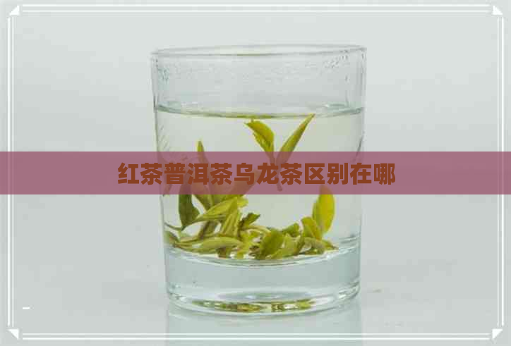 红茶普洱茶乌龙茶区别在哪