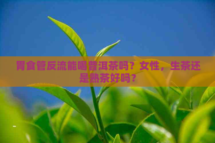 胃食管反流能喝普洱茶吗？女性，生茶还是熟茶好吗？