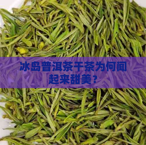 冰岛普洱茶干茶为何闻起来甜美？