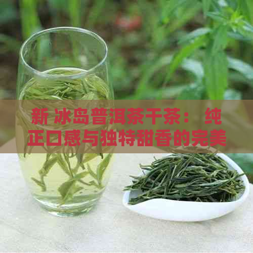 新 冰岛普洱茶干茶： 纯正口感与独特甜香的完美融合