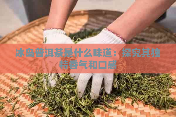 冰岛普洱茶是什么味道：探究其独特香气和口感