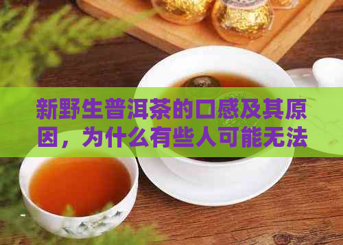 新野生普洱茶的口感及其原因，为什么有些人可能无法接受？