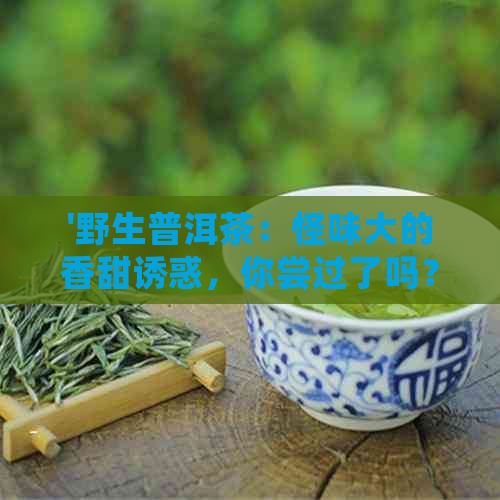 '野生普洱茶：怪味大的香甜诱惑，你尝过了吗？'