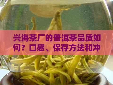 兴海茶厂的普洱茶品质如何？口感、保存方法和冲泡技巧一应俱全！