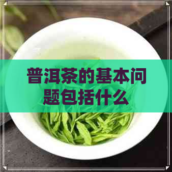 普洱茶的基本问题包括什么