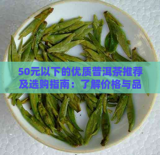 50元以下的优质普洱茶推荐及选购指南：了解价格与品质的关系