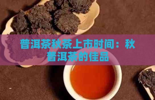 普洱茶秋茶上市时间：秋普洱茶的佳品