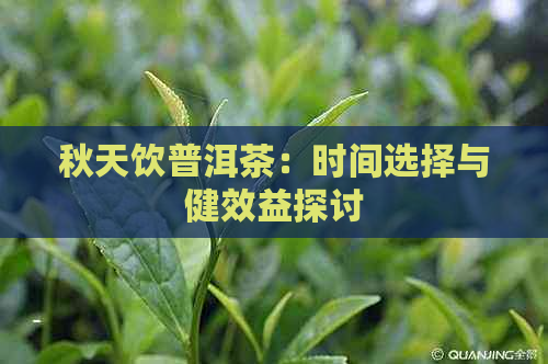 秋天饮普洱茶：时间选择与健效益探讨