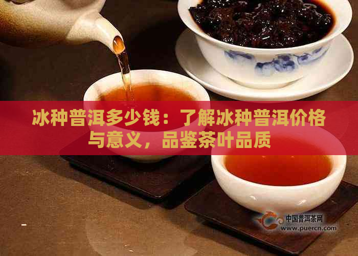 冰种普洱多少钱：了解冰种普洱价格与意义，品鉴茶叶品质