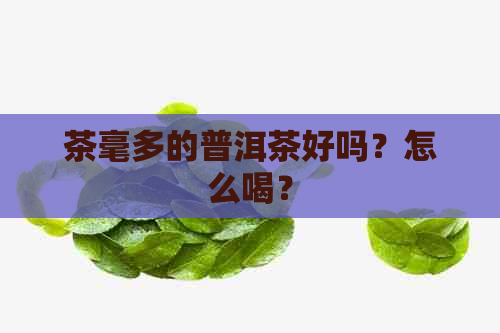 茶毫多的普洱茶好吗？怎么喝？