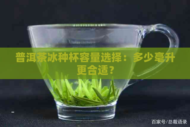 普洱茶冰种杯容量选择：多少毫升更合适？