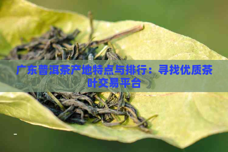 广东普洱茶产地特点与排行：寻找优质茶叶交易平台