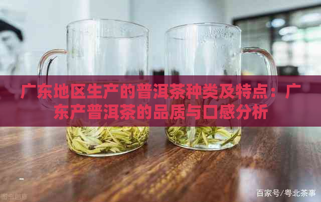 广东地区生产的普洱茶种类及特点：广东产普洱茶的品质与口感分析