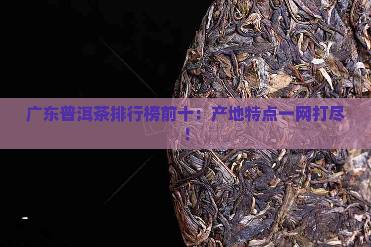 广东普洱茶排行榜前十：产地特点一网打尽！