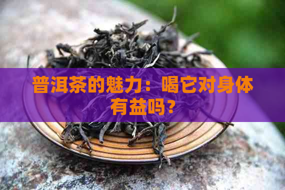 普洱茶的魅力：喝它对身体有益吗？