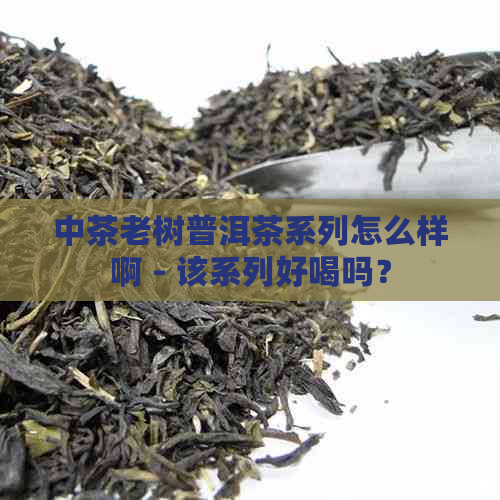 中茶老树普洱茶系列怎么样啊 - 该系列好喝吗？