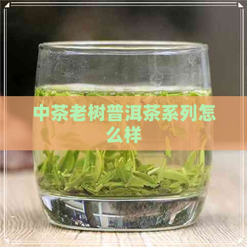 中茶老树普洱茶系列怎么样