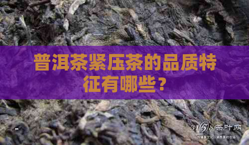 普洱茶紧压茶的品质特征有哪些？