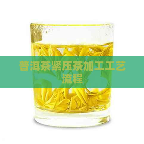 普洱茶紧压茶加工工艺流程