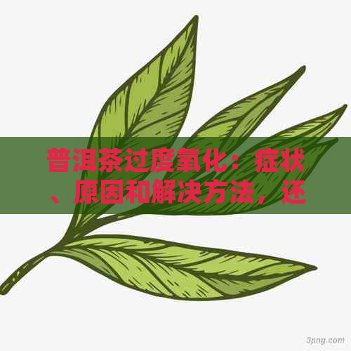 普洱茶过度氧化：症状、原因和解决方法，还能喝吗？