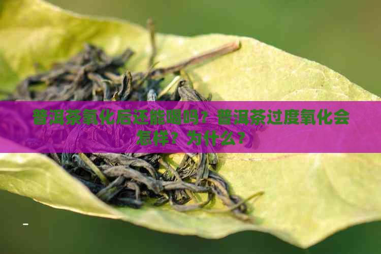 普洱茶氧化后还能喝吗？普洱茶过度氧化会怎样？为什么？