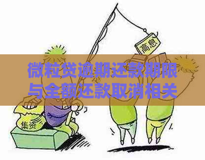 微粒贷逾期还款期限与全额还款取消相关性探讨