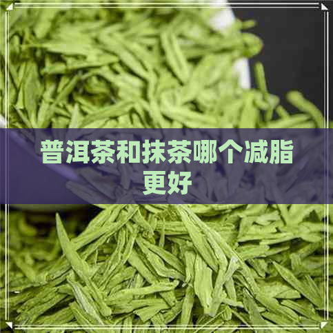 普洱茶和抹茶哪个减脂更好