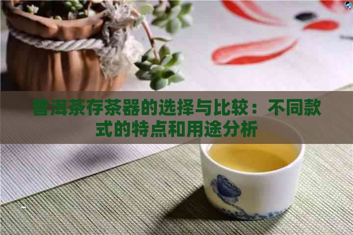 普洱茶存茶器的选择与比较：不同款式的特点和用途分析