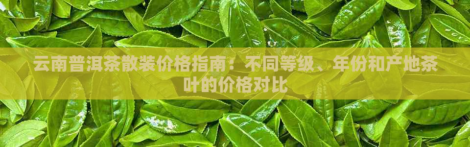 云南普洱茶散装价格指南：不同等级、年份和产地茶叶的价格对比