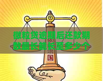 微粒贷逾期后还款期数最长能长至多少个月？了解各期数的详细信息和影响