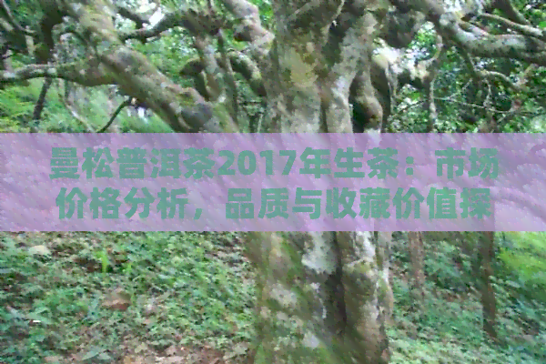 曼松普洱茶2017年生茶：市场价格分析，品质与收藏价值探究