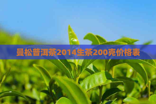 曼松普洱茶2014生茶200克价格表