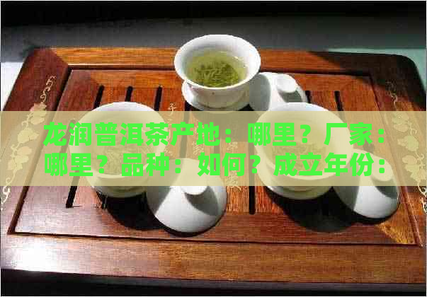 龙润普洱茶产地：哪里？厂家：哪里？品种：如何？成立年份：哪一年？