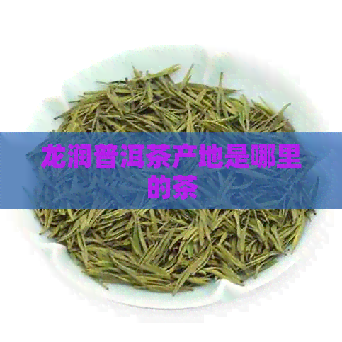 龙润普洱茶产地是哪里的茶