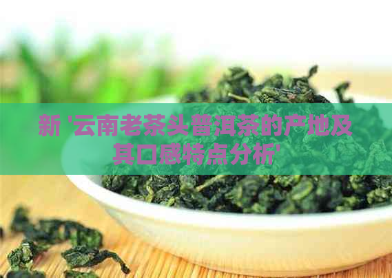 新 '云南老茶头普洱茶的产地及其口感特点分析'