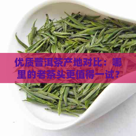 优质普洱茶产地对比：哪里的老茶头更值得一试？