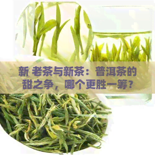 新 老茶与新茶：普洱茶的甜之争，哪个更胜一筹？