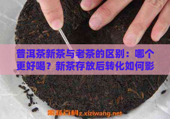 普洱茶新茶与老茶的区别：哪个更好喝？新茶存放后转化如何影响老茶和新茶？