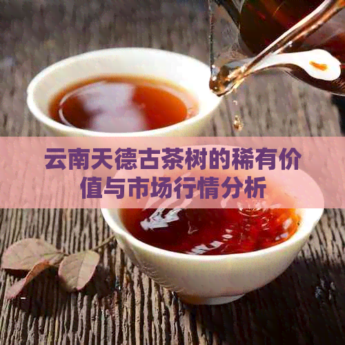 云南天德古茶树的稀有价值与市场行情分析