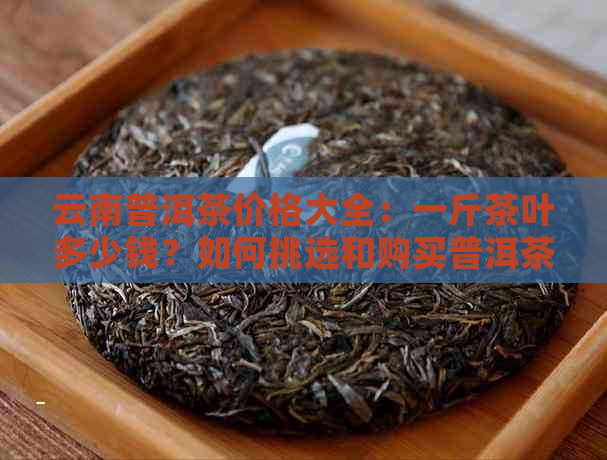 云南普洱茶价格大全：一斤茶叶多少钱？如何挑选和购买普洱茶？