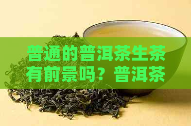 普通的普洱茶生茶有前景吗？普洱茶生茶好还是熟茶好，有升值空间吗？