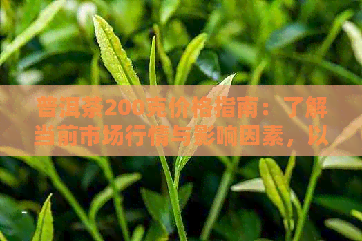 普洱茶200克价格指南：了解当前市场行情与影响因素，以便做出明智购买决策