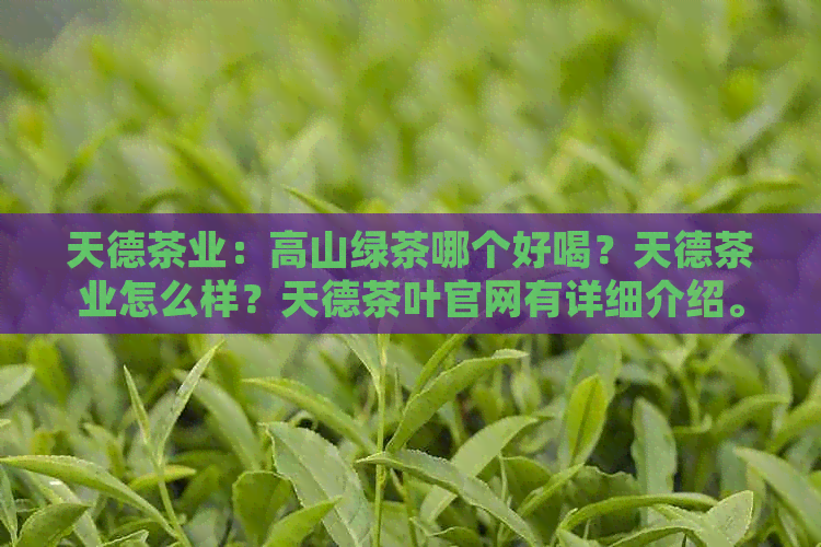 天德茶业：高山绿茶哪个好喝？天德茶业怎么样？天德茶叶官网有详细介绍。