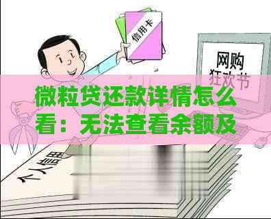 微粒贷还款详情怎么看：无法查看余额及还款记录？