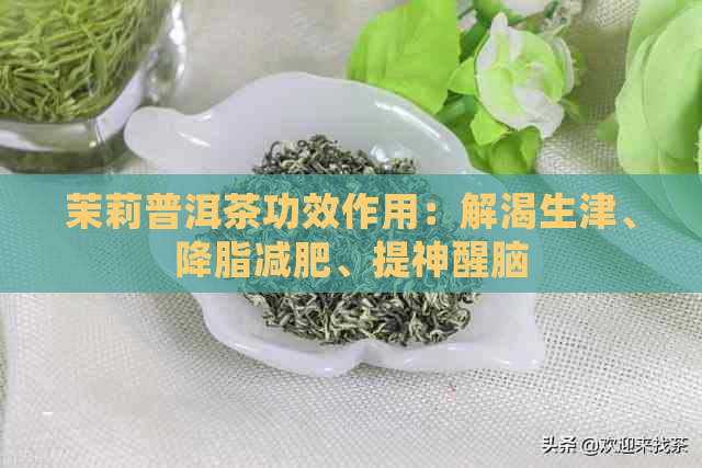 茉莉普洱茶功效作用：解渴生津、降脂减肥、提神醒脑