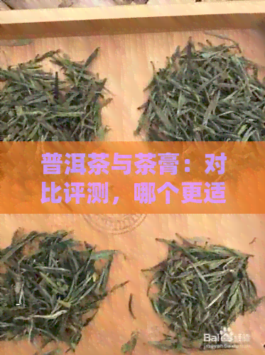 普洱茶与茶膏：对比评测，哪个更适合你？