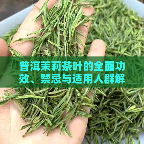 普洱茉莉茶叶的全面功效、禁忌与适用人群解析