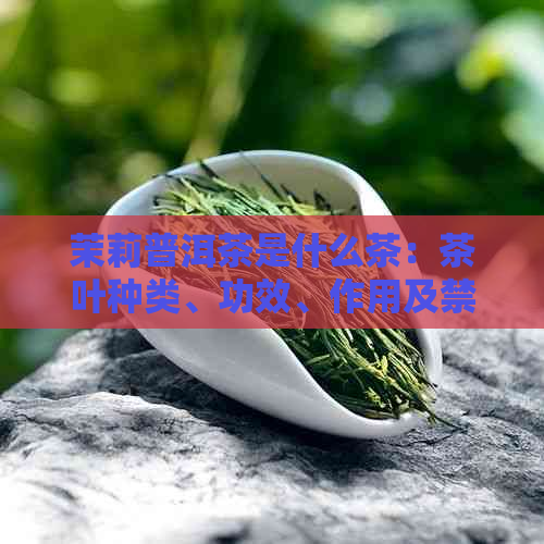 茉莉普洱茶是什么茶：茶叶种类、功效、作用及禁忌全解析