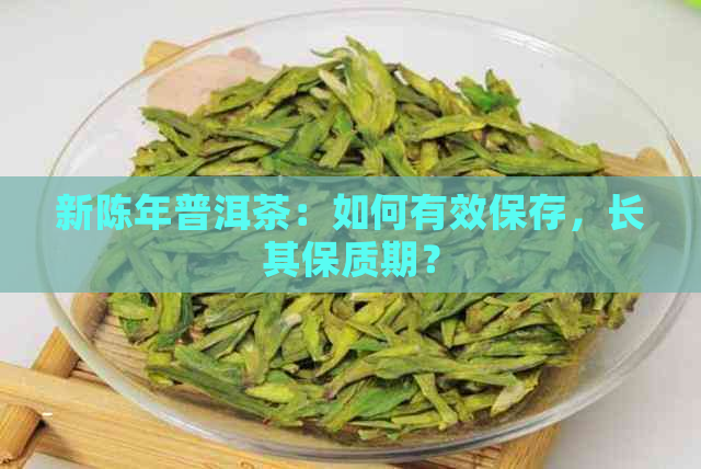 新陈年普洱茶：如何有效保存，长其保质期？